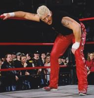 The legendary Goldust held the US Title for a better part of 1993.